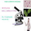 专业显微镜与显示屏解决方案 上饶市信州区新怡光学仪器厂批发采购指南